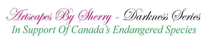 Artscapes by Sherry Hayes